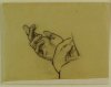 1925-1926 ca. - L'ultima cena  (studio di mano)